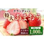 いちご あまおう 1000g