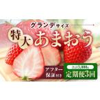 いちご 定期便全3回 あまおう 合計3000g