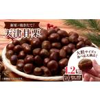 fu.... налог [1.2kg] новый каштан большой размер!! жарение длина!! небо Цу сладкие каштаны крупный размер время ограничено . доставляем._ каштан .. сладкие каштаны небо Цу сладкие каштаны закуска конфеты.. Osaka (столичный округ) Ibaraki город 