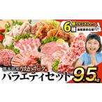ふるさと納税 ★生産者応援★ 豚肉 小分け バラエティセット9.2kg+300g 豚肉《8月上旬-8月末頃出荷》 | 豚肉 豚肉詰合せ 豚肉 豚肉満喫 熊本県大津町