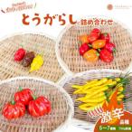 とうがらし 品種詰合せ