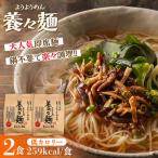 養々麺 2食セット ようようめん 長崎 即席