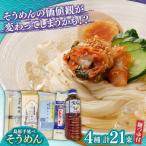 島原手延べそうめん 食べ比べ4種 文ちゃんの麺つゆ付