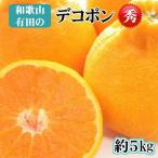 和歌山有田のデコポン約5kg