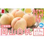 ふるさと納税 【2026年発送】桃 ご家庭用岡山白桃 約1.3kg 赤木農園    岡山県浅口市