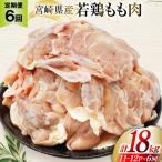 定期便 肉 鶏肉 6回定期便 若鶏もも身11 12パック