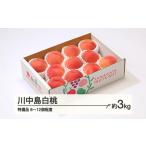 ふるさと納税 もも 桃 川中島白桃 特選品 約3kg(6~12個程度) 山形県産 tf-moknt3 山形県山辺町