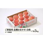 ふるさと納税 もも 桃 品種おまかせ 白桃 ご家庭用 約3kg(6~12個程度) 2025年産 山形県産 ※沖縄・離島への配送不可 tf-moywm3 山形県山辺町