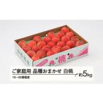 ふるさと納税 もも 桃 品種おまかせ 白桃 ご家庭用 約5kg(10~25個程度) 山形県産 tf-moywm5 山形県山辺町
