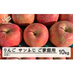ふるさと納税 【先行予約】りんご サンふじ ご家庭用 約10kg(24~50玉) 山形県産 tf-risfm10 山形県山辺町