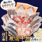 海の幸をおあげんせ A_ 海産物 イカ いか