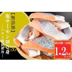 ふるさと納税 無添加塩サーモン切り身1.2kg G-09034 北海道根室市