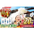 〈令和8年度産米〉 森のくまさん 無洗米 20kg
