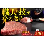 シャトーブリアン 200g×1枚