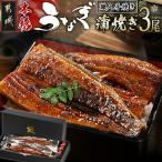 職人手焼きの本格うなぎ蒲焼き3尾 鰻蒲焼 3尾