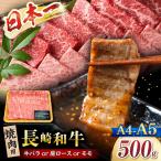 長崎和牛 焼肉用 500g