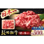 長崎和牛 牛肉切り落とし 500g