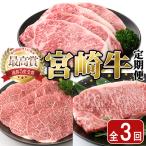宮崎牛定期便 ロースステーキ 600g