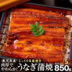うなぎ 蒲焼 170g×5尾