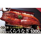 ふるさと納税 うなぎ 蒲焼 200g×5尾【鹿児島産】地下水で育てた絶品鰻｜うなぎ 鹿児島県大崎町