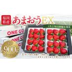 配送 産あまおう EX 約450g×2パック