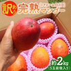 えみちゃん農園のプレミアム完熟マンゴー約2キロ 4個