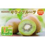プレミアムキウイフルーツ Lサイズ 14個×2箱入