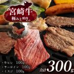 宮崎牛 極み上焼肉セット