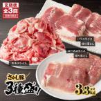 2478 鹿屋産 さかし豚 3種盛り 3.3kg