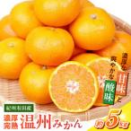 紀州有田産 濃厚甘熟温州みかん 5kg_G7043