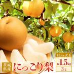 355 にっこり梨 約1.5kg