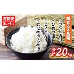 新米 令和6年産 定期便 4回 試せる 4種