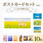 はがき ポストカード 10種