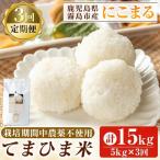 K-198-E 令和7年産 てまひま米 品種:にこまる