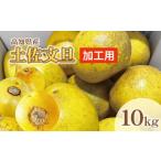 土佐文旦 加工用 M 5L混合 約10kg〈2027年2月中旬
