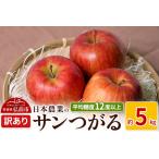 ふるさと納税 【25年8月〜発送】りんご 平均糖度12度以上! サンつがる 約5kg 訳あり クール便【先行受付】 青森県弘前市