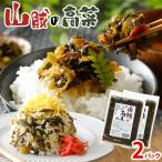 辛子高菜 240g×2パック