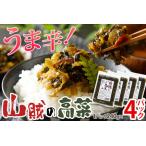 高菜 辛子高菜 240g×4パック
