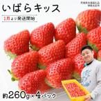 品種 いばら キッス 4パック×1箱