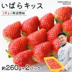 品種 いばら キッス 2パック