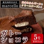 ガトーショコラ 出水みかんピールとクリームチーズ入り