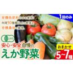えか野菜 おまかせ5~7種セット 有機JAS認定