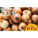 玉ねぎ 7kg