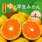 \光センサー選別 \農家直送 甘くて濃厚