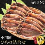 小田原ひもの詰合せ SA30