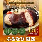 豆腐ハンバーグセット 100g×15個入