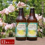 小田原うめクラフトチューハイ 12本セット