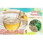 山茶 Deep Forest NARUMIFARM