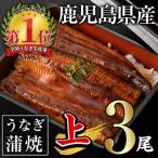うなぎ 無投薬 合計420g以上
