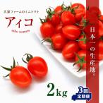 大家ファームのミニトマト アイコ 2kg×3回